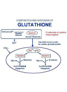 N-Acetyl Cysteine...