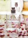 Develop perfume formulas like the original (GCMS+Human)