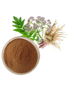 Valerian Root Extract
