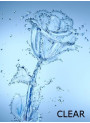 Flora Solve™ Clear (Fragrance Solubilizer)