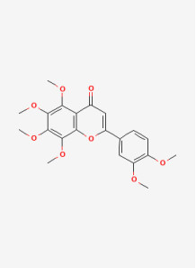 Pure-Nobiletin™ (98%)