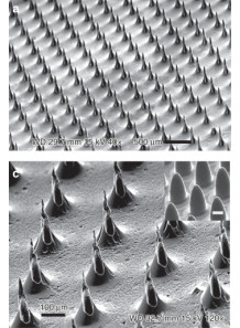 Microneedle Mold (14x14mm,...