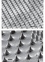 Microneedle Mold (15.4x15.4mm, H=1450μm, 10x10, S=1200μm, D=580μm, Pyramid)