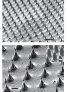 Microneedle Mold (10.8x10.8mm, H950μm, 10x10, S800μm, D400μm, Pyramid)