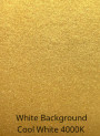 Gold Glitter Mica (Size B, 80 Micron)