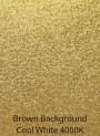 Gold Sparkle Mica (Size C, 150 Micron)