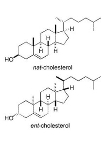 Cholesterol (95%, NF, Fine...