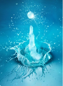 Plankton Artemia Extract