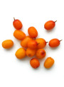 Sea Buckthorn (Fruit) Oil (Virgin, CO2 Extraction)