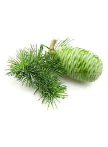 Cedarwood Oil (Virginian)