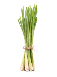 Citronella Oil (Synthetic,...