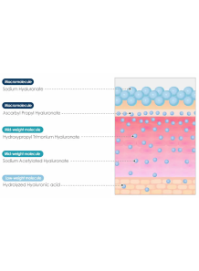 Ascorbyl Propyl Hyaluronate...
