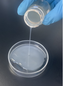 MYFerment™ Exfo (Lactobacillus Ferment Lysate)