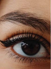 Pep®-Brow (Acetyl...