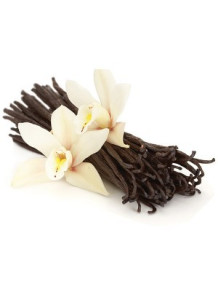 Vanilla Essential Oil...