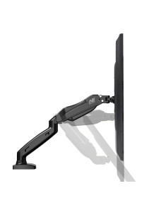 Computer monitor mount...