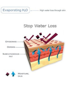 WaterLock™ (Polyquaternium-51)