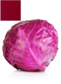 Red Cabbage Pigment (Natural Pigment Powder)
