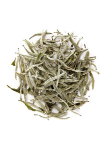 White Tea Extract สารสกัดชาขาว