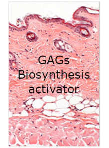 Pro-Xylane (Hydroxypropyl...