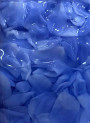 White/Blue Petals Beads 9-15mm