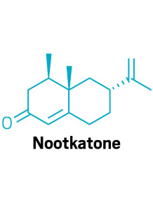 Nootkatone (FEMA-3166)