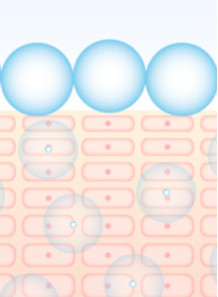 N-Acetyl-L-Hydroxyproline...