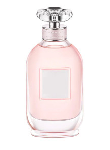 Dream (compare to Coach)