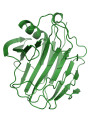 Stabilized Cellulase Enzyme (ปรับเนื้อผ้าให้เนียนนุ่ม, ของเหลว)