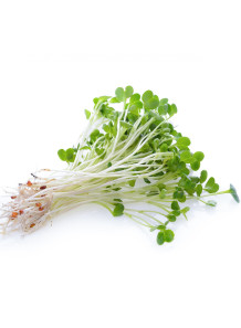 InflamCare™ Alfalfa Extract...