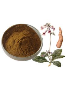 WhiteCare™ Rehmannia...