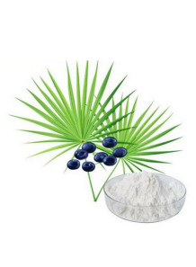 Saw Palmetto (Fatty Acids 45%)