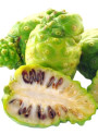 Noni Fruit Powder ผล ลูกยอ (Spray Dried, Water-Soluble)
