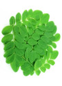Moringa Oil (Refined)