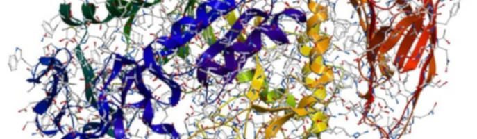 Enzyme for use in food and research